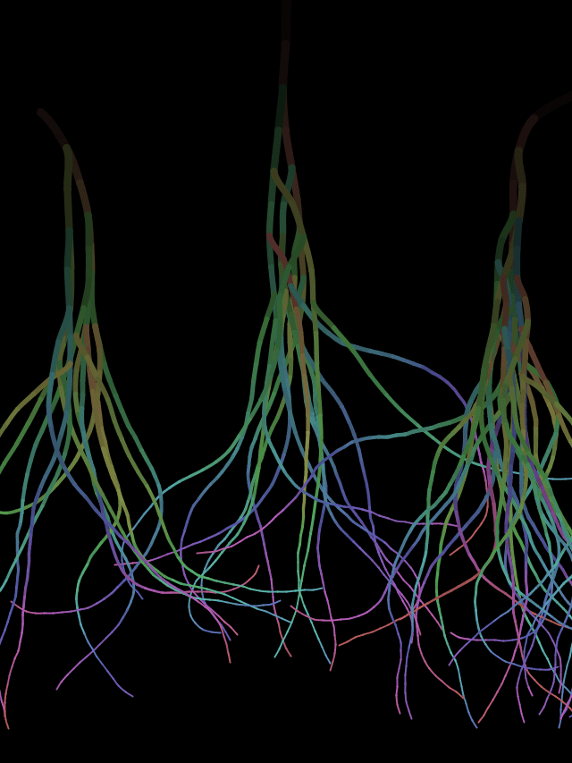 vein-Friday, July 25, 2014 12:23:31 AM PDT